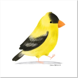 American Goldfinch Bird Posters and Art